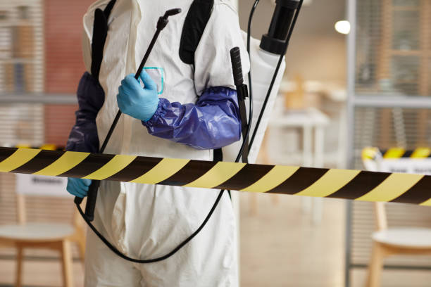 Professional Hoarding Cleanup technician working in Shapleigh, ME
